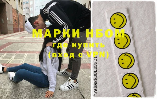 мдпв Богородицк